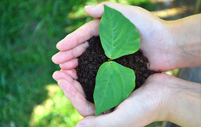 中国·5657威尼斯(股份)有限公司-官方网站