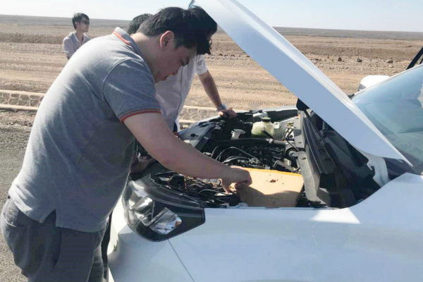 c8a6d66e43bd450db568f5af956740dd