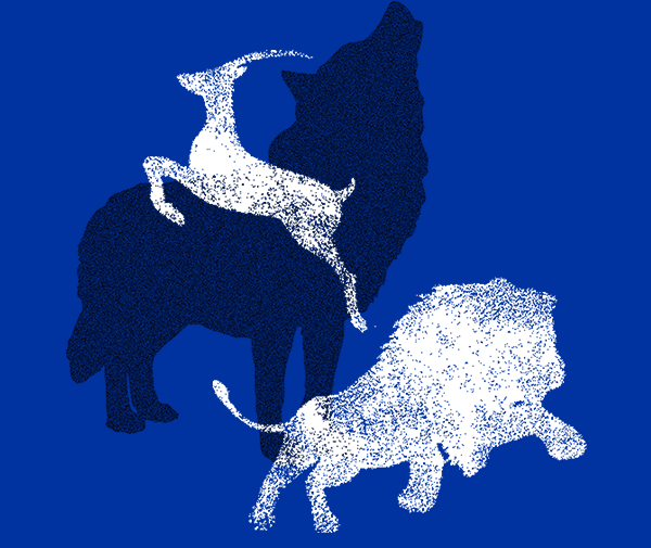 中国·5657威尼斯(股份)有限公司-官方网站